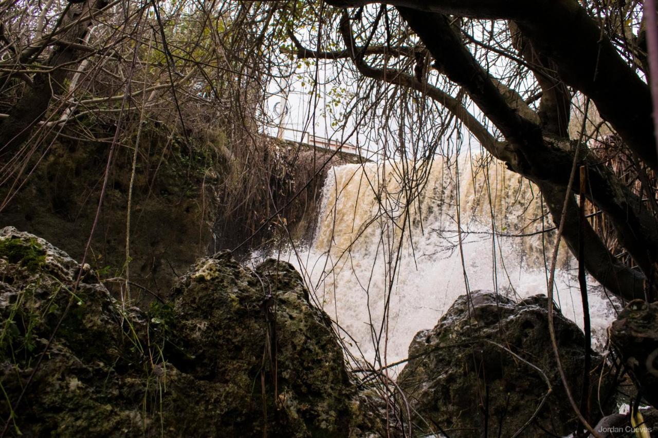 Cuevas del Becerro Casa Rural Dolores מראה חיצוני תמונה